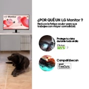 porque Monitor LG curvo 32MR50C-B 100Hz 32
